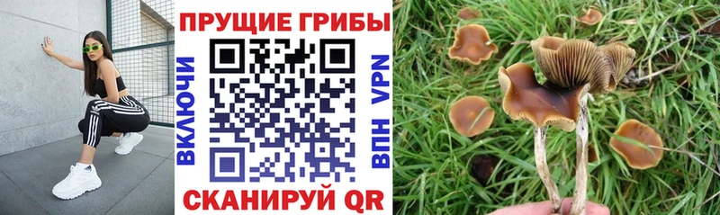 Галлюциногенные грибы мухоморы цены наркотик Юрьев-Польский