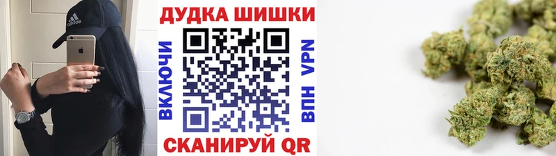 дарк нет как зайти  Юрьев-Польский  Каннабис сатива 